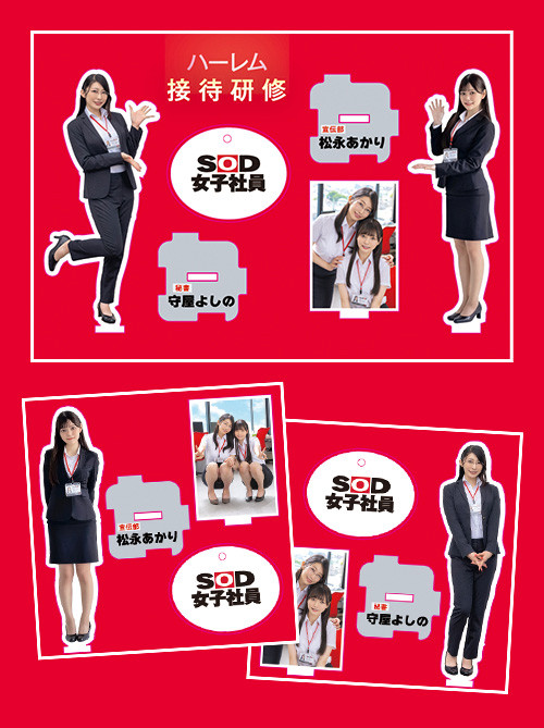 (SDJS-339)11月共演天花板!松永明里和守屋芳乃两大女子社员合体啦!