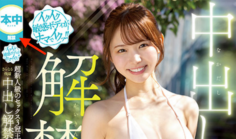 HMN-455,响莲(Hibiki-Ren)最新作品2023/08/22发布!